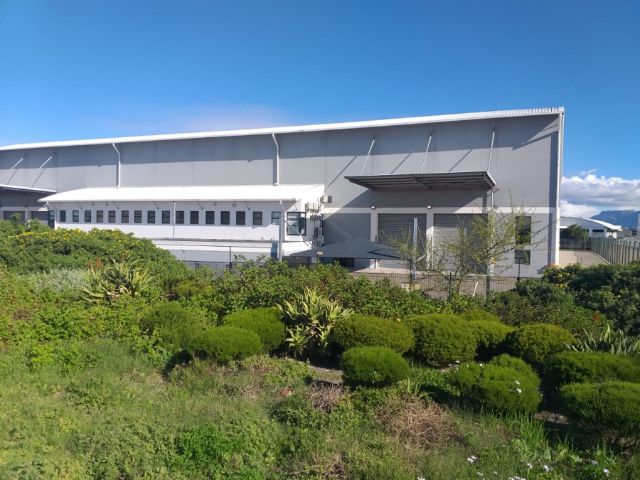 To Let Commercial Property for Rent in Airport Industria Western Cape